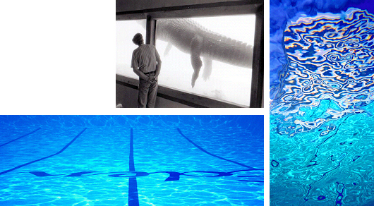 Site Specific Projects