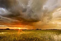 Experience the Everglades